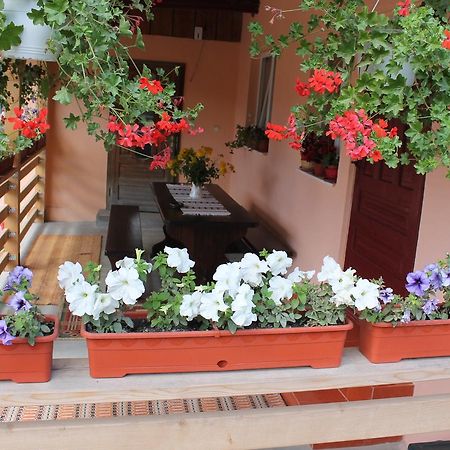 Casa Andreia Villa Gura Humorului Dış mekan fotoğraf