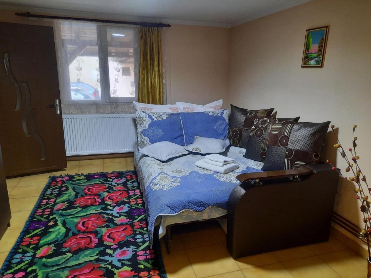 Casa Andreia Villa Gura Humorului Dış mekan fotoğraf