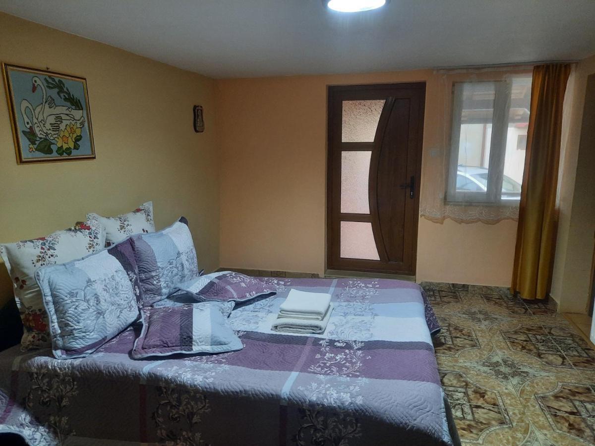 Casa Andreia Villa Gura Humorului Dış mekan fotoğraf