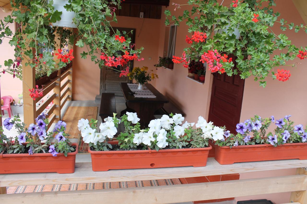 Casa Andreia Villa Gura Humorului Dış mekan fotoğraf