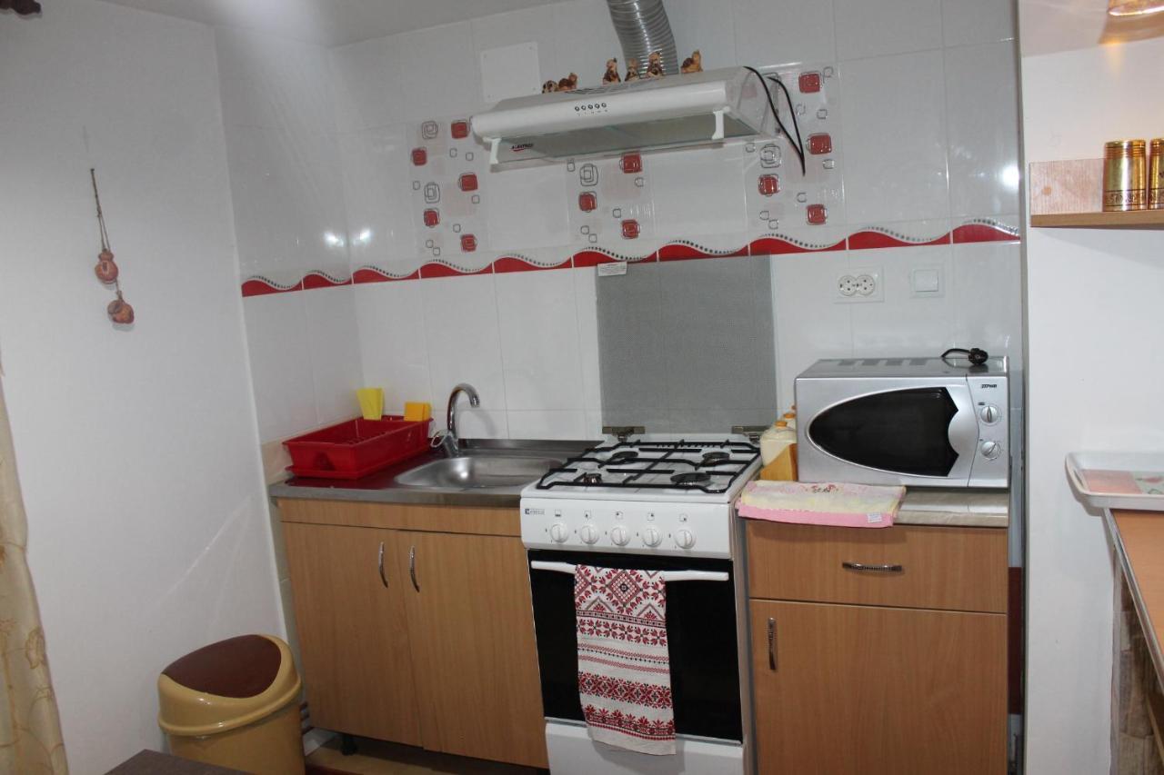 Casa Andreia Villa Gura Humorului Dış mekan fotoğraf